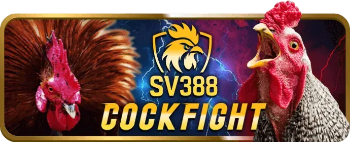 Ưu đãi hàng tuần yo88